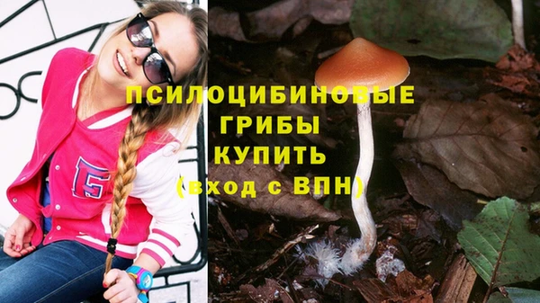 ГАЛЛЮЦИНОГЕННЫЕ ГРИБЫ Майский