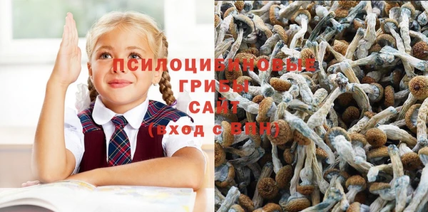 ГАЛЛЮЦИНОГЕННЫЕ ГРИБЫ Майский