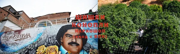 ГАЛЛЮЦИНОГЕННЫЕ ГРИБЫ Майский