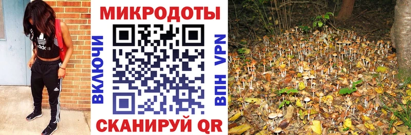 Псилоцибиновые грибы Psilocybe  Яранск 